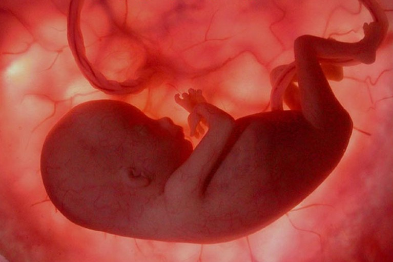 baby-in-womb
