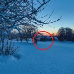 latvija-priroda