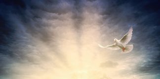 Što Duh Sveti čini u životu osobe koja Mu se predaje