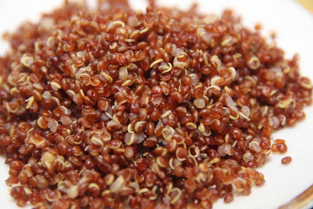 Crvena kvinoja