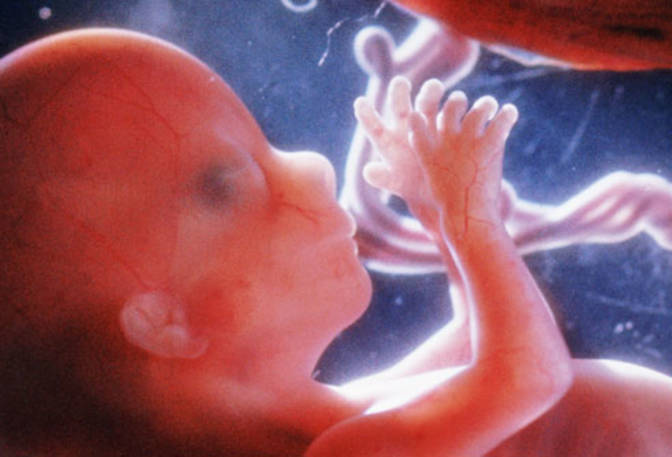 liječnici eksperimentiraju sa živim abortiranim bebama liječnici eksperimentiraju sa živim abortiranim bebama