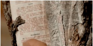 Vatrogasac pronašao Bibliju u ruševinama njujorških ‘blizanaca’