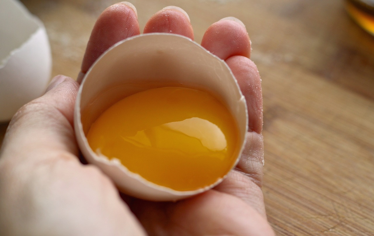 zaraza salmonelom jaja