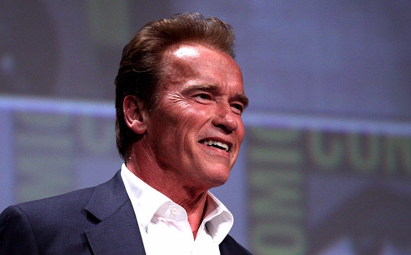 Arnold Schwarzenegger sotonisti