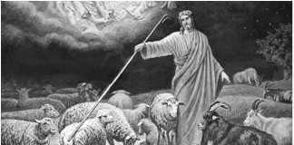 Isus prispodoba jarci ovce