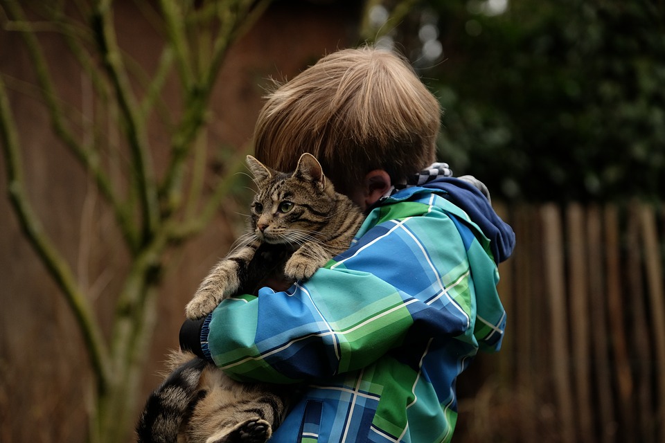 Foto: Pixabay