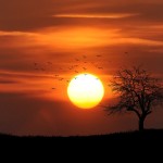 Niste se slučajno rodili