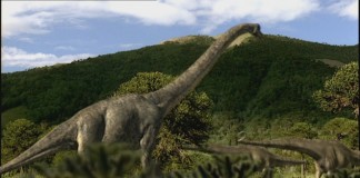 Jobov behomet dinosaur