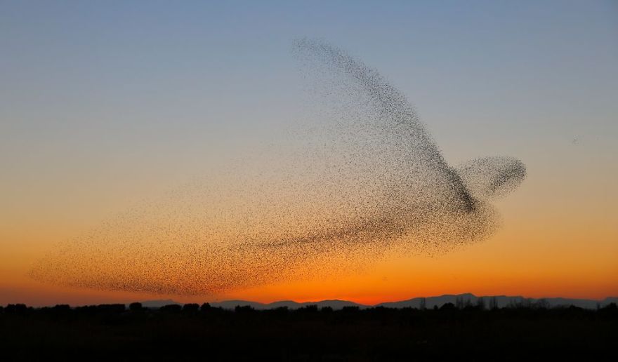 Foto: Daniel Biber/lensculture