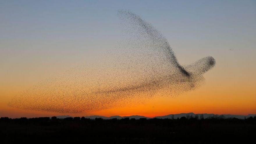 Foto: Daniel Biber/lensculture