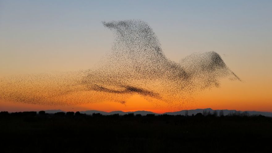 Foto: Daniel Biber/lensculture