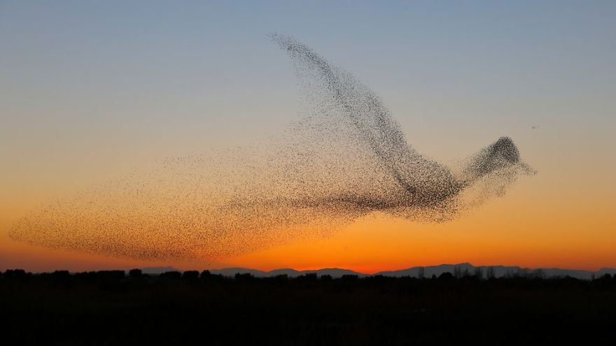 Foto: Daniel Biber/lensculture