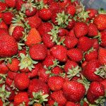 domaće uvozne jagode razlika