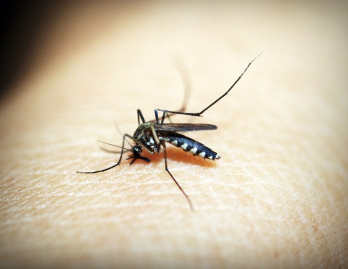 kako se riješiti komaraca