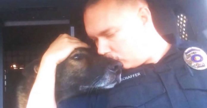 policajac pas 8 godina zajedno