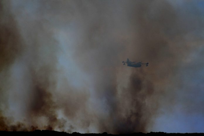 požar grčka izgubila djecu sina pismo požar grčka izgubila djecu sina pismo