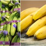 zelene zrele banane