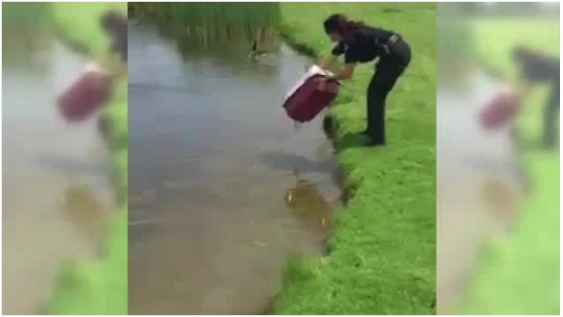 Policajka zaustavila promet kako bi pomogla napuštenim pačićima