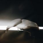 Sedam nevjerojatnih činjenica koje potvrđuju da je Biblija živa Božja Riječ
