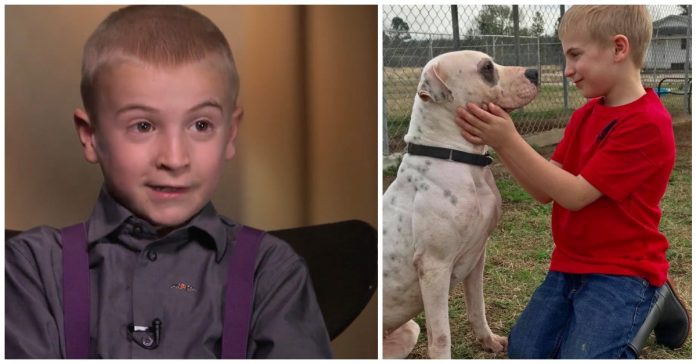 aspca nagrada 7-godišnjak spasio više od 1.300 pasa iz skloništa