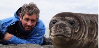 Novinari doživjeli nezaboravne trenutke s mladincima tuljana