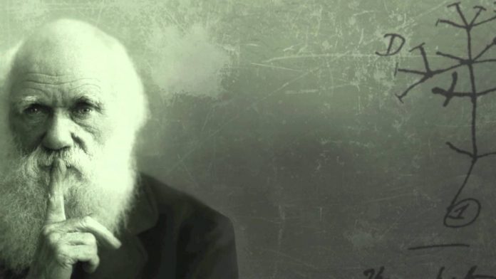 Darwin Britanci ne vjeruju u Darwinovu teoeriju evolucije
