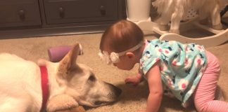 Djevojčica počela ljubiti psa
