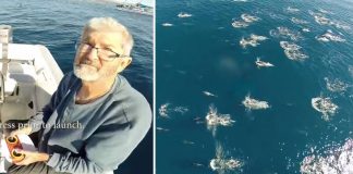 Muškarac slučajno dronom snimio nevjerojatan događaj iznad oceana