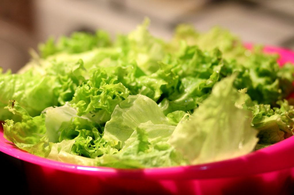 zelena salata ljekovita svojstva