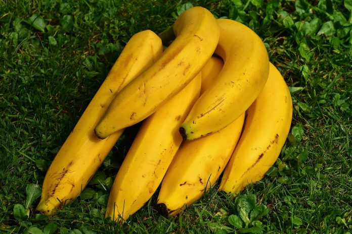 Što se događa s vašim tijelom ako svaki dan jedete banane