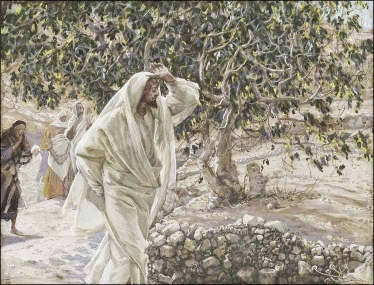 Pouka od stabla smokve koju je Isus prokleo