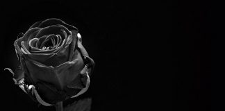 Doktorica raskrinkala sektu ''Crna ruža'' koja joj je ubila sina