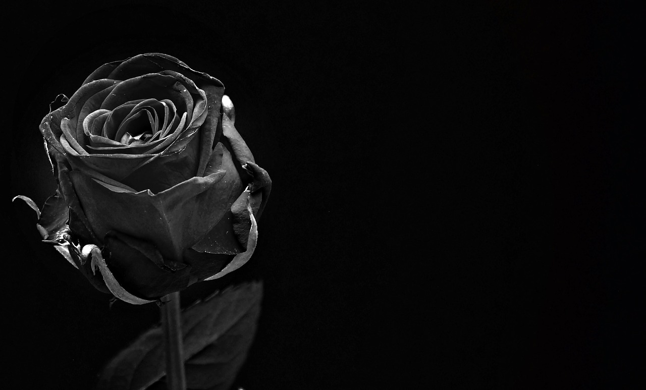 Doktorica raskrinkala sektu ''Crna ruža'' koja joj je ubila sina
