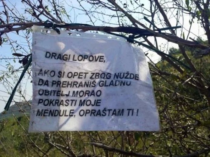 Dalmatinac bademi Dalmatinac ostavio simpatičnu poruku lopovu koji mu je stalno krao bademe
