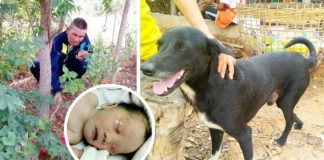 Pas pronašao živo novorođenče koje je majka zakopala
