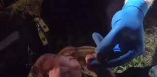 Policajci pronašli novorođenče u plastičnoj vrećici u šumi