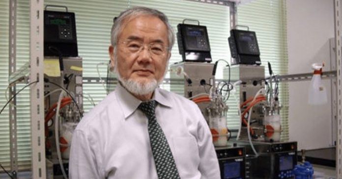 Japanski nobelovac post tijelo Japanski nobelovac objašnjava što post čini našem tijelu