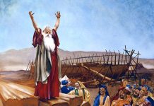Koliko godina Noa umro