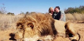 Par ubio lava pa se pohvalio fotografijom na Facebooku