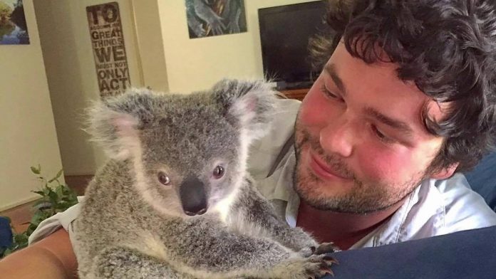 Spasili su napuštenu bebu koalu, a kako im se zahvalila im je rastopilo srce