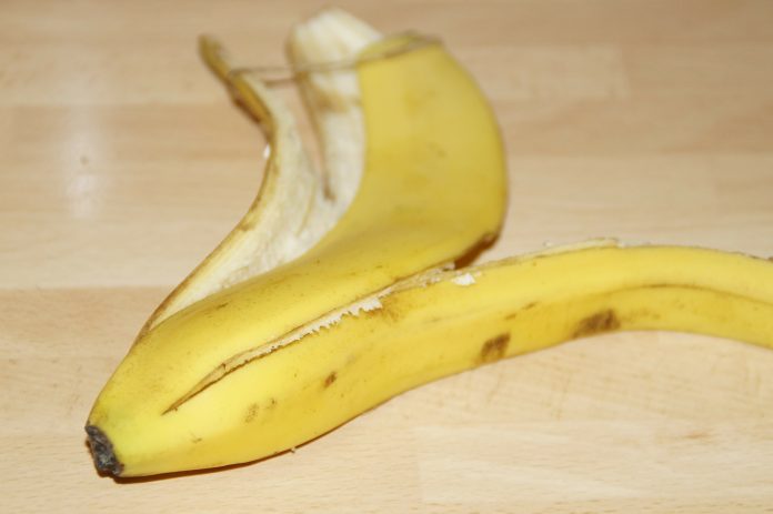 Puni su vitamina: Evo koje ''ostatke'' namirnica ne trebate bacati! Puni su vitamina: Evo koje ''ostatke'' namirnica ne trebate bacati!