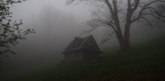 Trebaju li kršćani gledati horore?