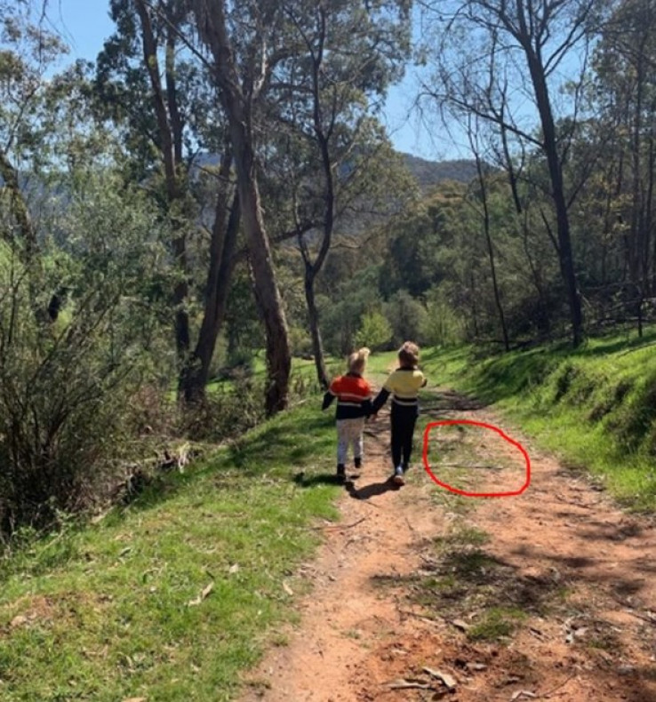 Majka kasnije na fotografiji otkrila da su djeca za dlaku izbjegla smrt 1