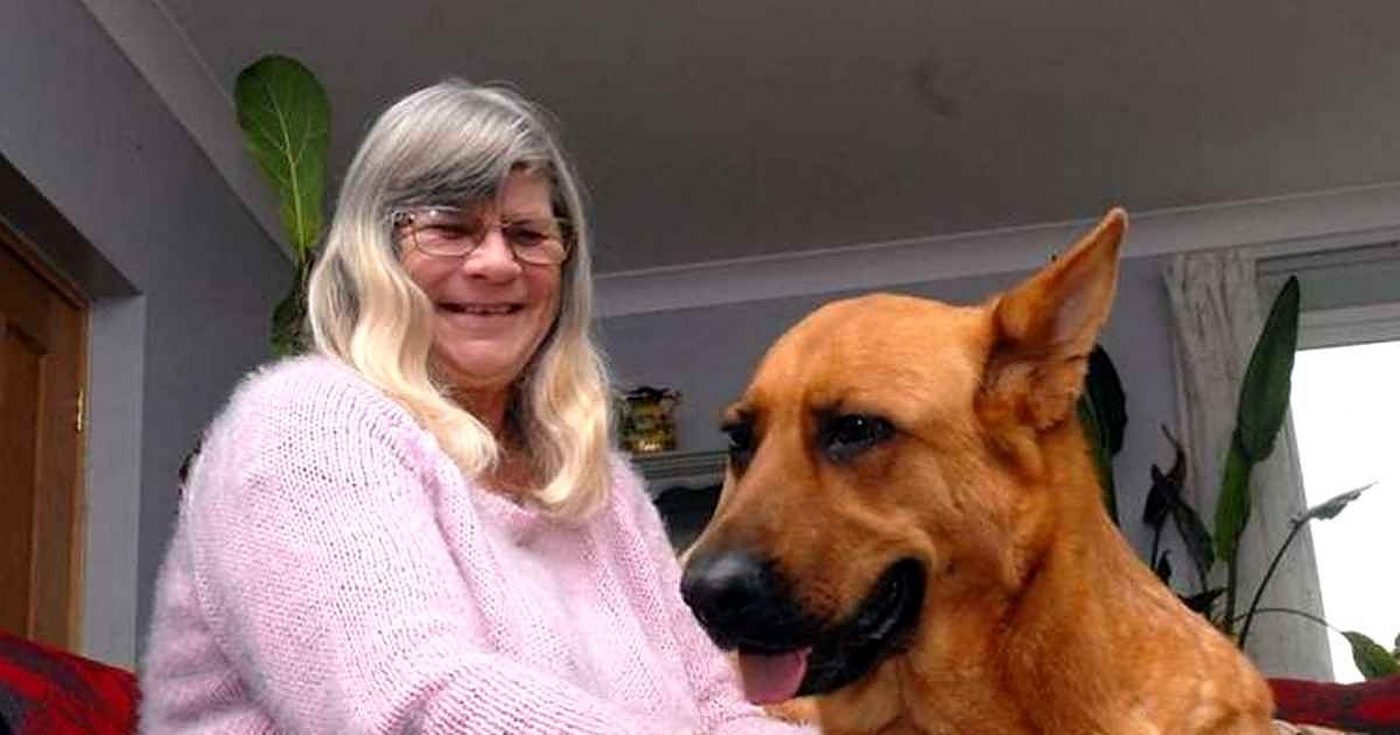 Pas spasio život vlasnici koja ima dijabetes