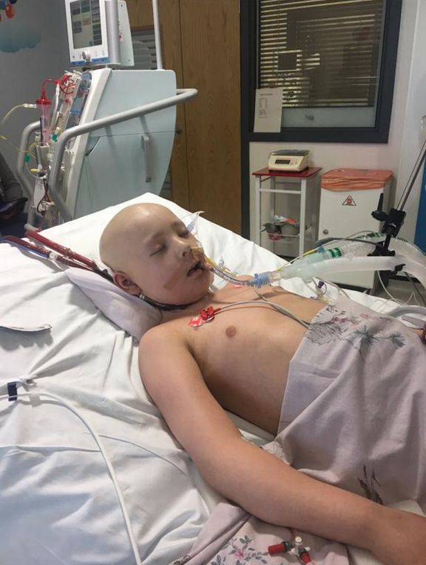 Djevojčica (10) je pobijedila leukemiju, a onda iznenada preminula 1