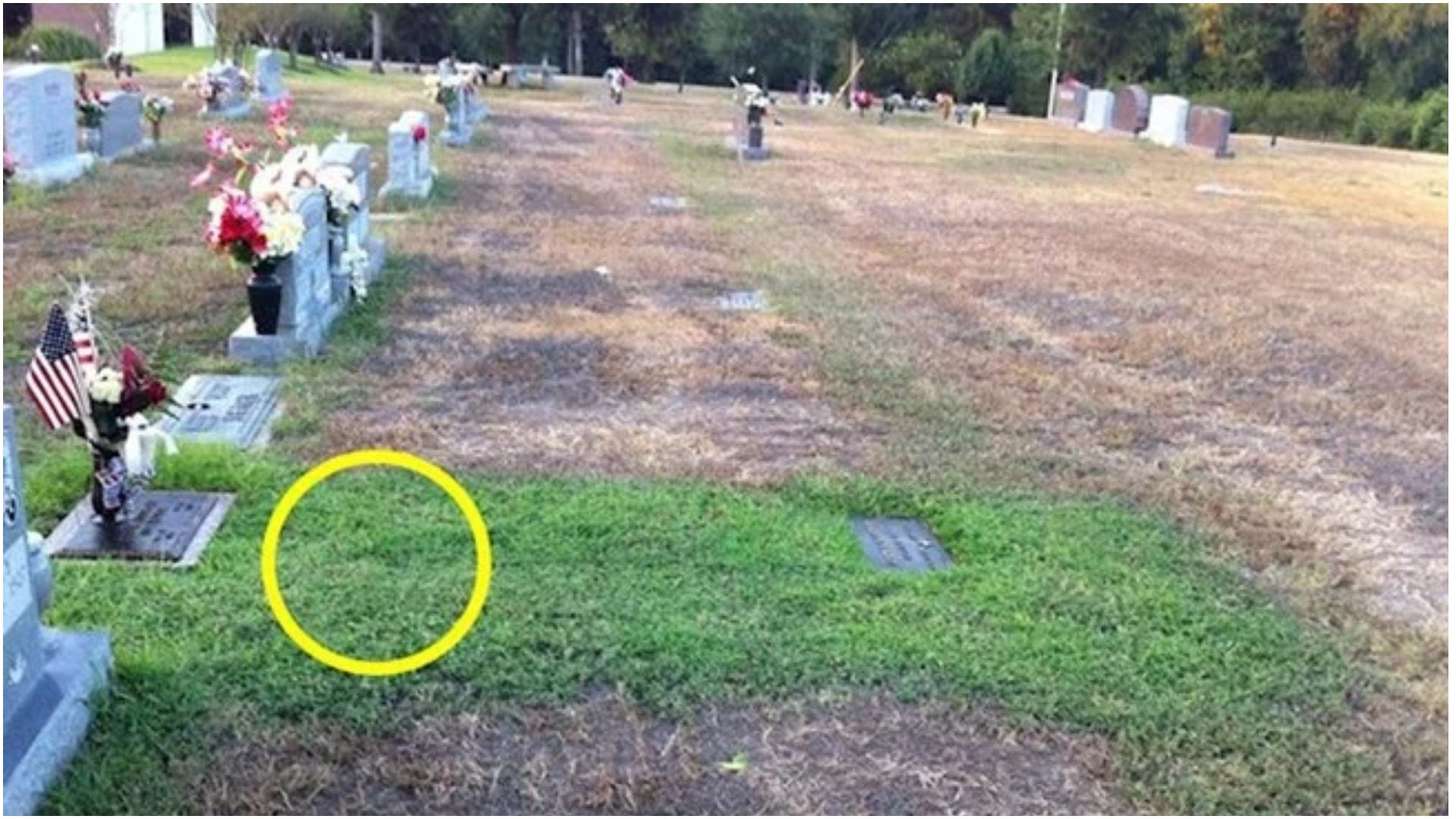 Kada je vidjela grobno mjesto svog sina, odmah je zaplakala