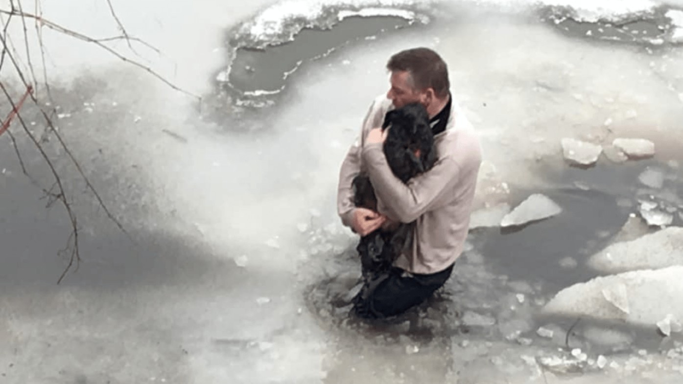 Muškarac je skočio u ledenu vodu kako bi spasio psa jednog stranca