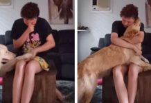 Žena napad panike pas