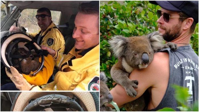 Divne fotografije iz Australije Divne fotografije iz Australije