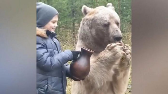 Dječak stoji pored ogromnog medvjeda i hrani ga mlijekom
